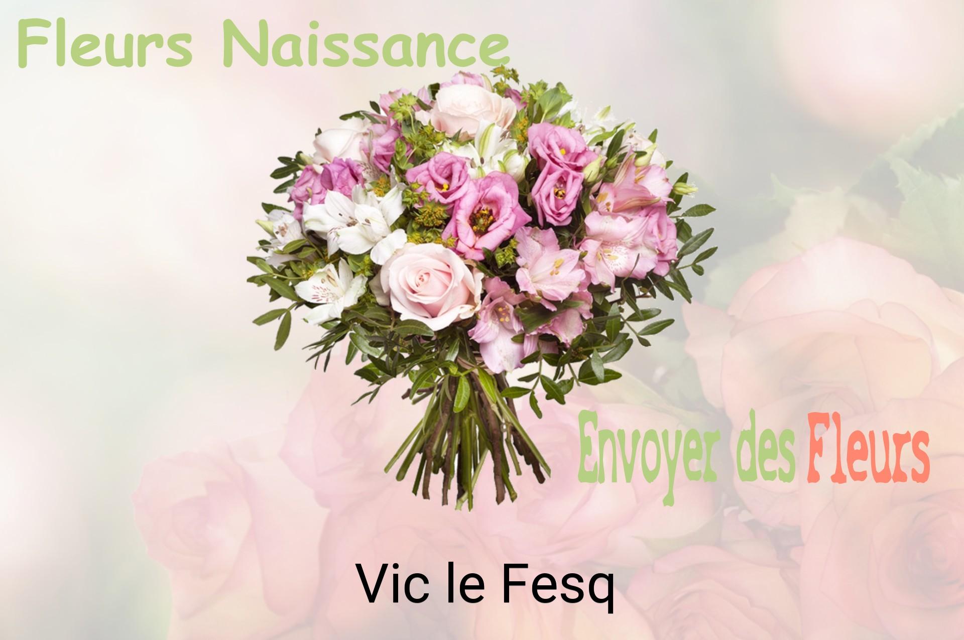 Bouquet de fleurs de naissance livré à Vic-le-Fesq
