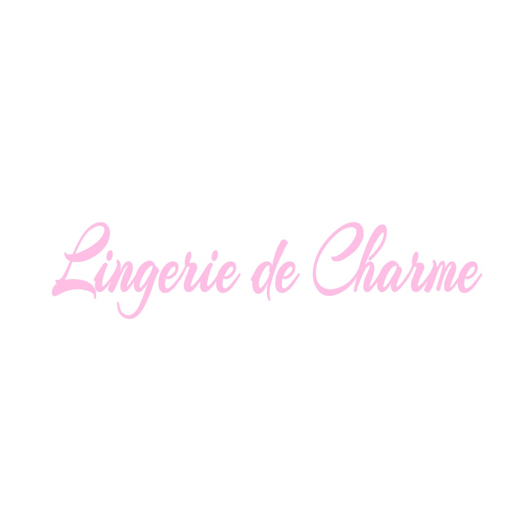 LINGERIE DE CHARME VIC-LE-FESQ